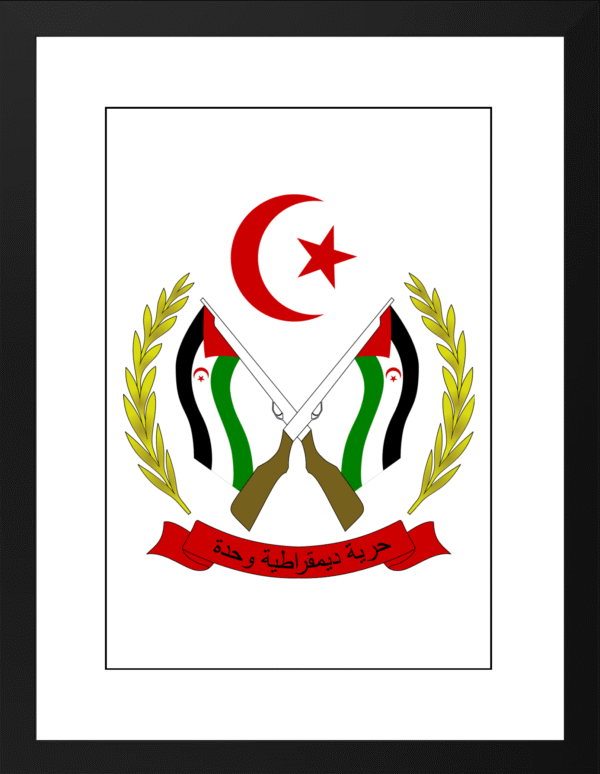 Escudo RASD
